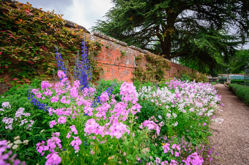 Maxstoke Castle
